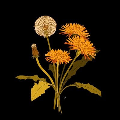 Dandelion print  - Thumbnail 3