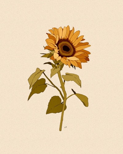 Sunflower Print 
