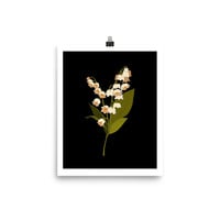 Lily of the Valley Print  - Thumbnail 1