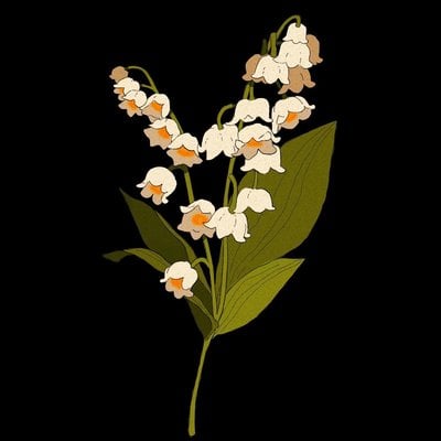 Lily of the valley print  - Thumbnail 5