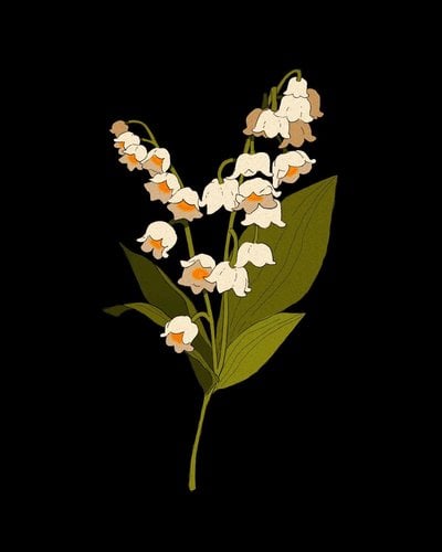 Lily of the Valley Print 