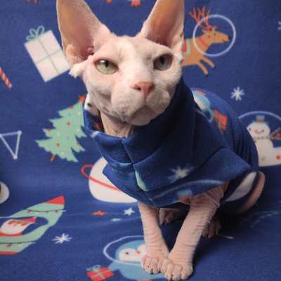 Holiday in space - Thumbnail 3