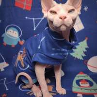 Holiday In Space - Thumbnail 1