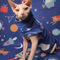 Holiday In Space - Thumbnail 2