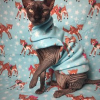 Snow Fawns - Thumbnail 2