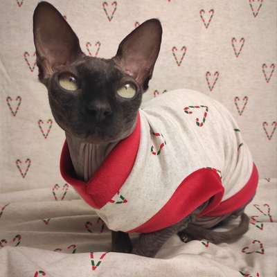 Candy cane love - Thumbnail 5