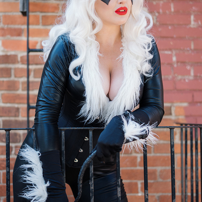 Cat bricks - postcard - Thumbnail 5