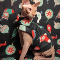 More Cat Toys - Thumbnail 2