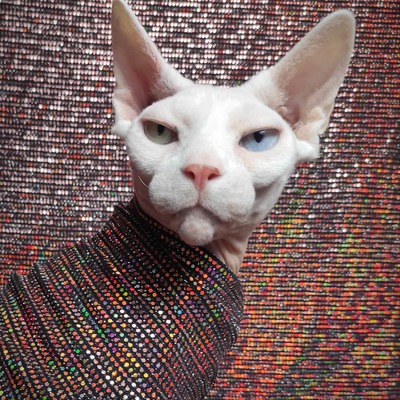 Sparkling personality (copper)