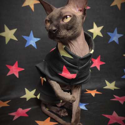 Seeing stars sweaterknit