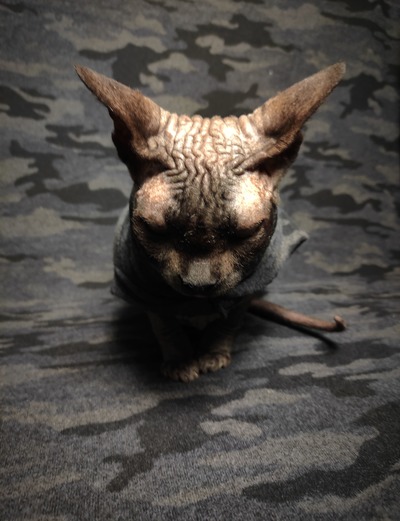 Fuzzy Subterranean Camouflage 