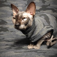 Fuzzy Subterranean Camouflage  - Thumbnail 1