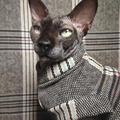 Sphynxy plaid sweaterknit