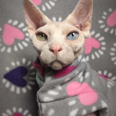 Radiant hearts - Thumbnail 4