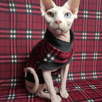 Going Stag Plaid - Thumbnail 2