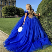 Royal Blue Dresses Cinderella Birthday Gown for Kid - Thumbnail 1