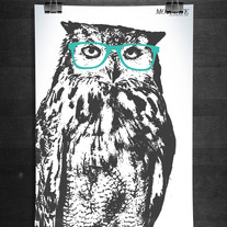 Owl Print