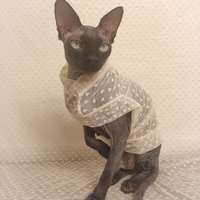 Trashy Lingerie - Lace - Thumbnail 2