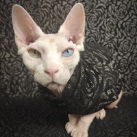 Black Metallic Roses - Thumbnail 1