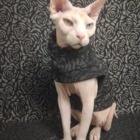 Black Metallic Roses - Thumbnail 2