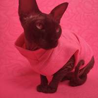 Hot Pink & Embossed - Thumbnail 1