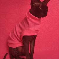 Hot Pink & Embossed - Thumbnail 3