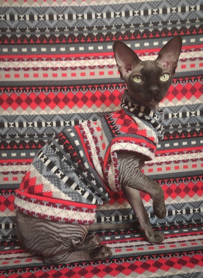 First Crush Sweaterknit