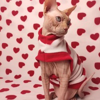 Bleeding Hearts v2.0 - Thumbnail 2