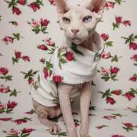 Best Buds - Thumbnail 2