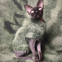 Shagadelic - Thumbnail 1