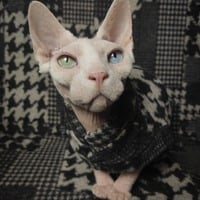 Fuzzy Houndsteeth - Thumbnail 1