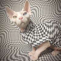 Down The Rabbit Hole - Thumbnail 1