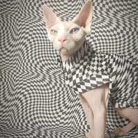 Down The Rabbit Hole - Thumbnail 2