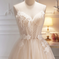 Champagne V-Neck Tulle Long Prom Dress, A-Line Evening Party Dress - Thumbnail 1