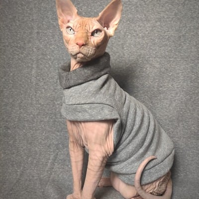 Warm-up - rolled collar yeezus