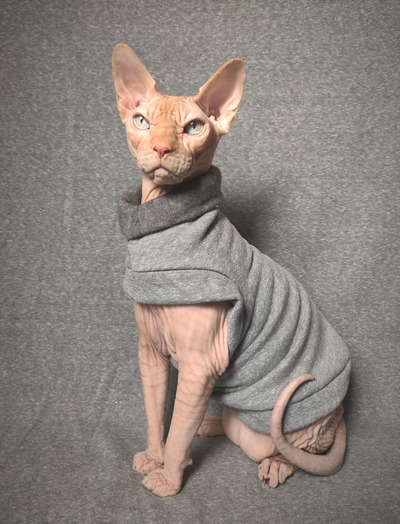 Warm-Up - Rolled Collar Yeezus