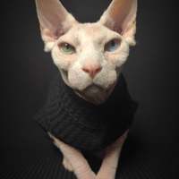 Ebony Thermal - Thumbnail 1