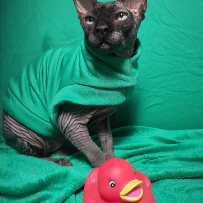 Lucky - bathwear - Thumbnail 3