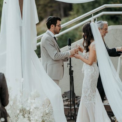 Luxury mermaid lace wedding dress bridal gown