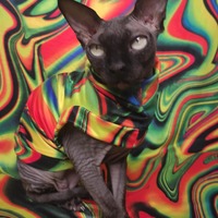 Swirlies - Thumbnail 1