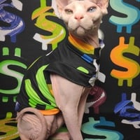 You Are So Money! - Thumbnail 1