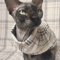 Blonde Plaid - Thumbnail 2