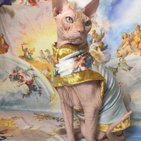 In The Clouds - Thumbnail 2