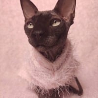 Pink Strings - Thumbnail 1