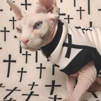 Crosses - Thumbnail 3