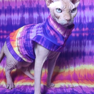 Easter egg hunt - Thumbnail 5