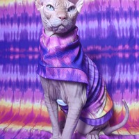 Easter Egg Hunt - Thumbnail 1