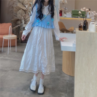 Blue Floral Knit Vest Tank Top - Thumbnail 6