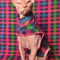 Basket Weaving - Thumbnail 2