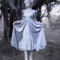 Swan Dream Gray Purple Pattern Embroidery European Style White Gothic Lace Princess Winter Dress - Thumbnail 5